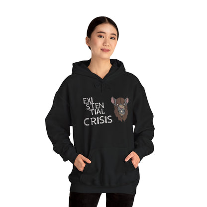 Existential Crisis Unisex Hoodie