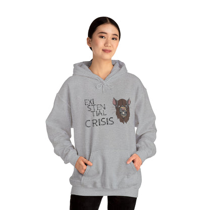 Existential Crisis Unisex Hoodie