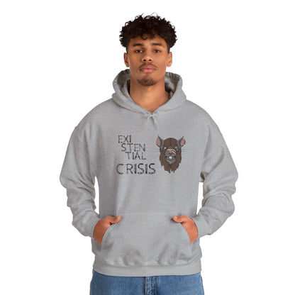 Existential Crisis Unisex Hoodie